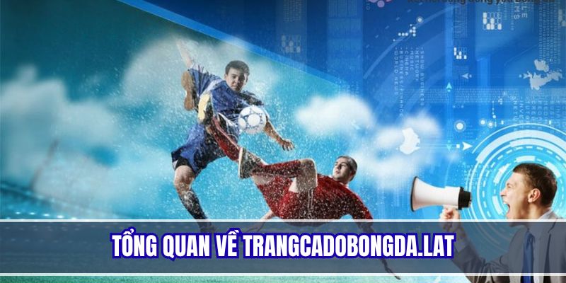 Giới thiệu tổng quan về trang web cá cược bóng đá