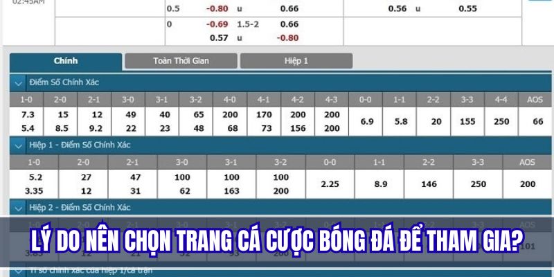 Lý do trang web cá cược bóng đá luôn là lựa chọn hàng đầu