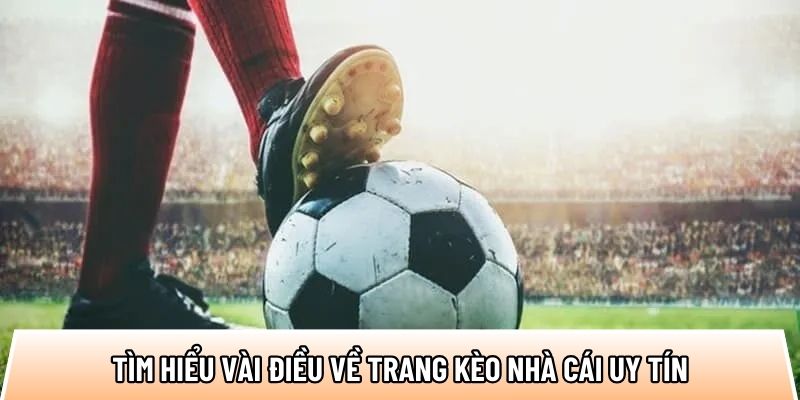 Tìm hiểu vài điều về trang kèo nhà cái uy tín